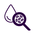 Purple_Compliance Services_Legionella Control