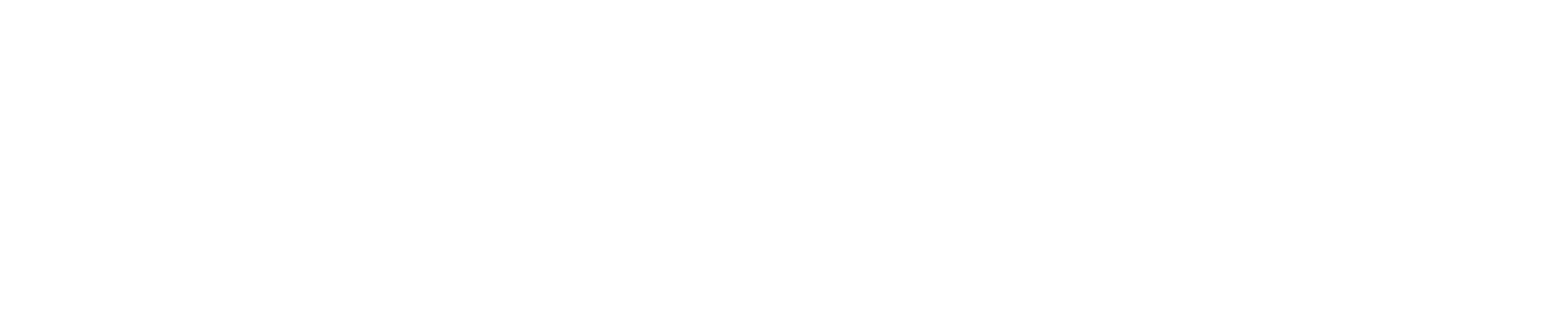 Sureserve_Logo_White-1
